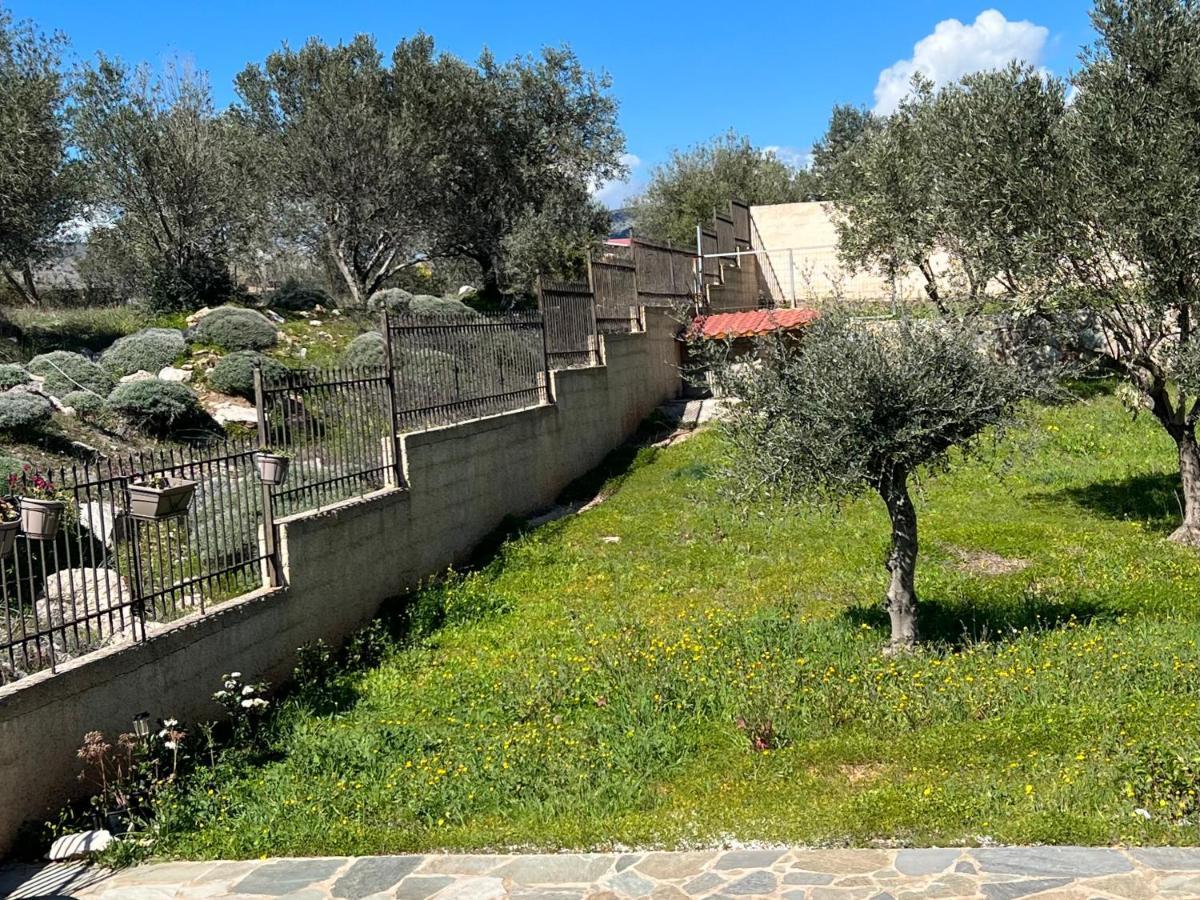 Villa Maxima Lavrio Thorikon Ngoại thất bức ảnh