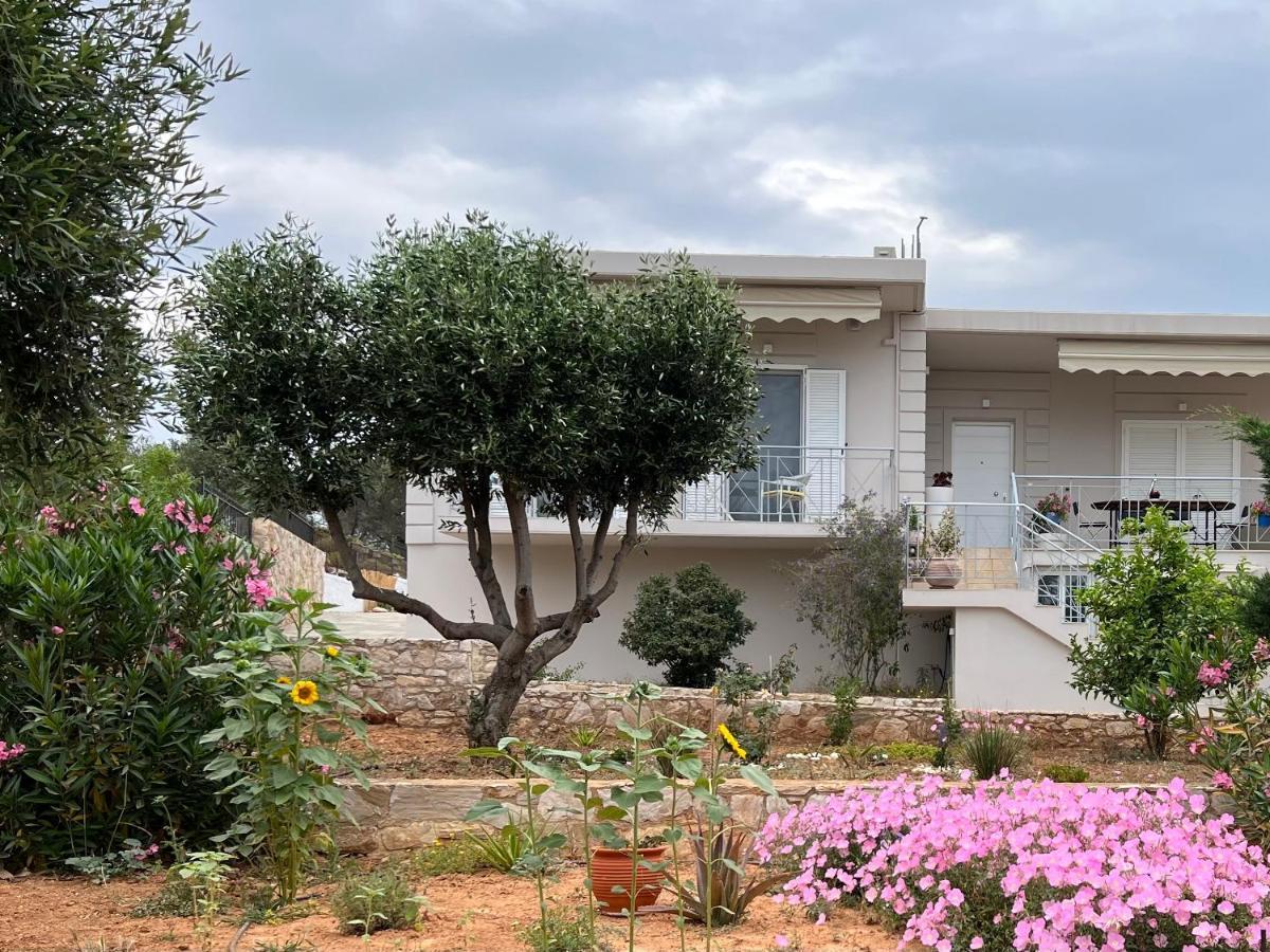 Villa Maxima Lavrio Thorikon Ngoại thất bức ảnh