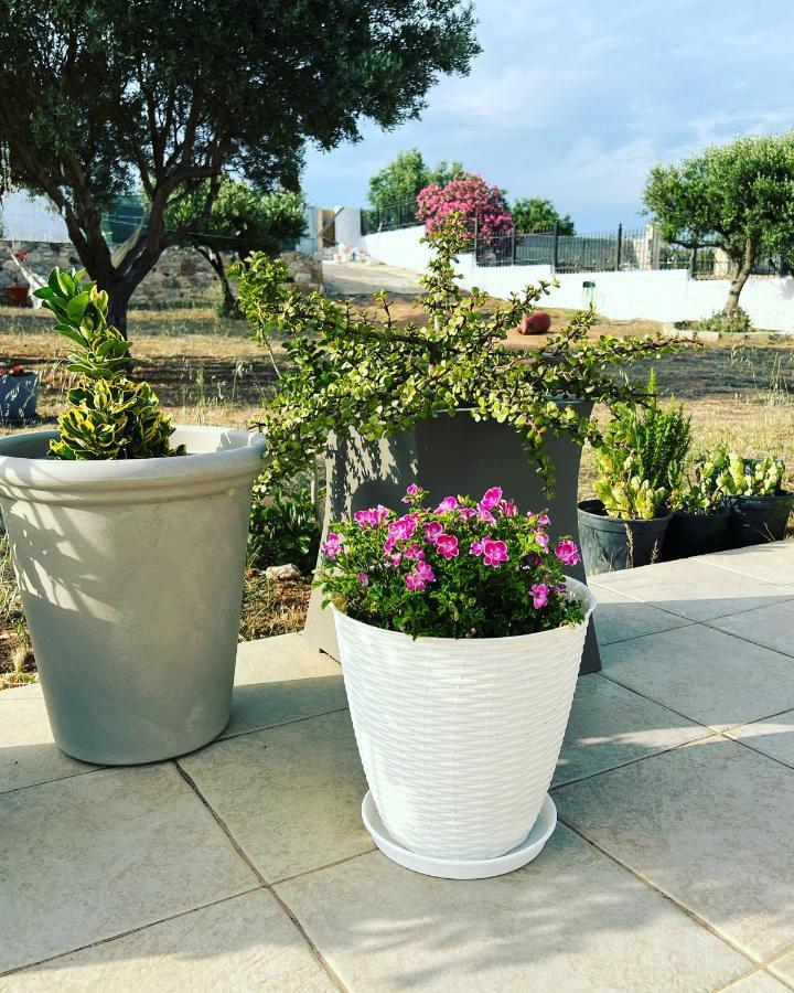 Villa Maxima Lavrio Thorikon Ngoại thất bức ảnh